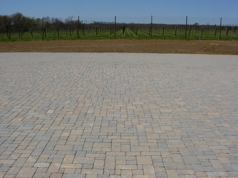 duckwalk vineyards backyard patio area