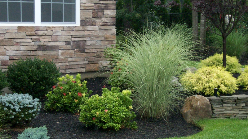 Raised patio with waterfall